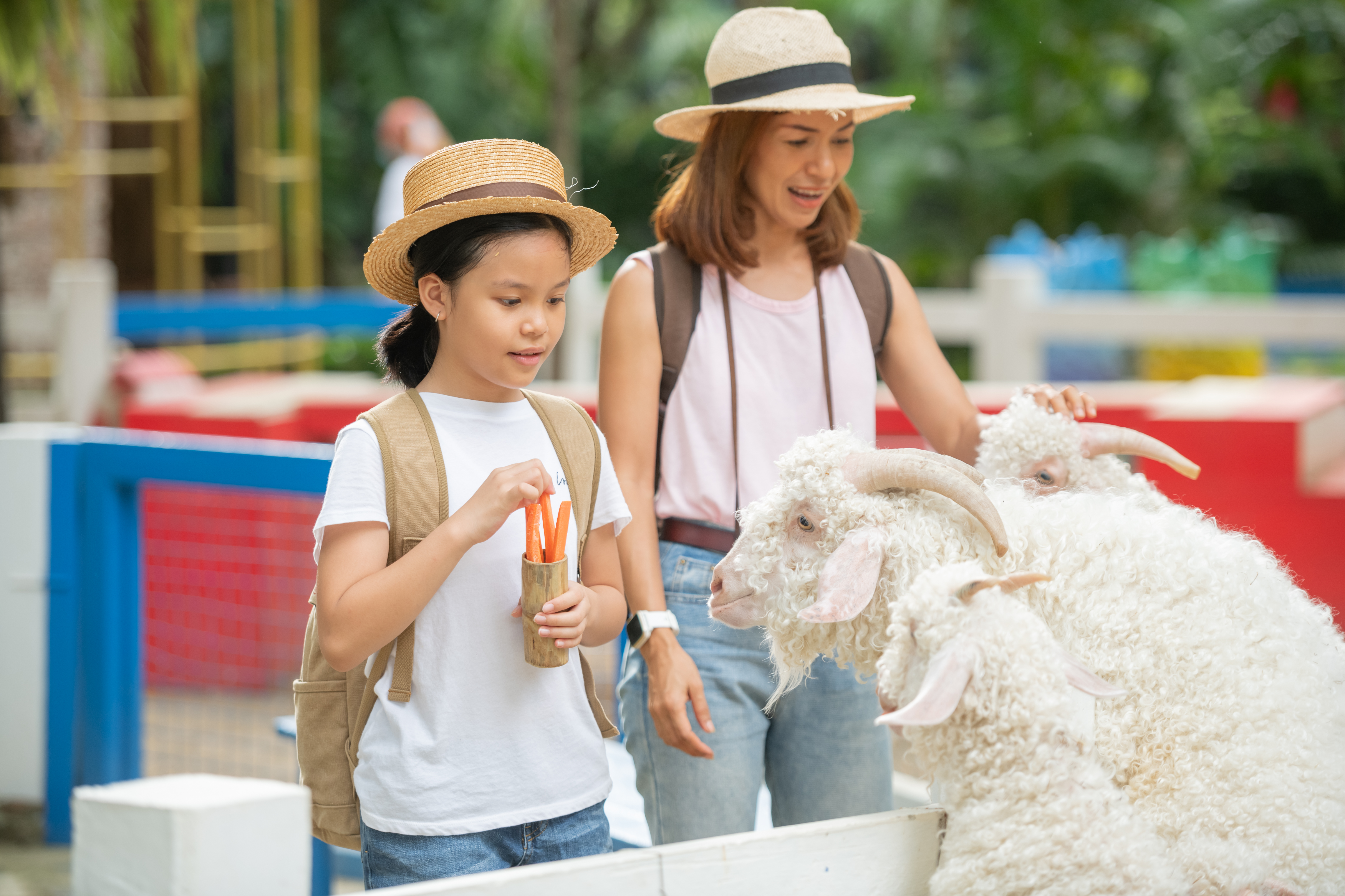 Wisata Edukasi Peternakan yang Menarik untuk Keluarga